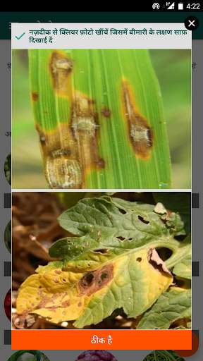 Pestoz- Identify Plant diseases screenshot 2