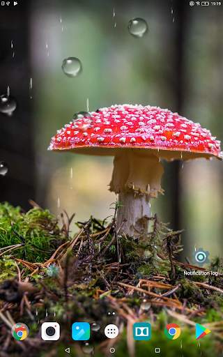 Beautiful Autumn Live Wallpaper HD screenshot 9
