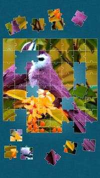 Birds Jigsaw Puzzle screenshot 6