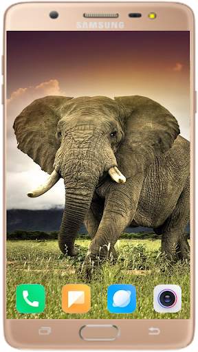 Elephant Wallpaper Best HD screenshot 9