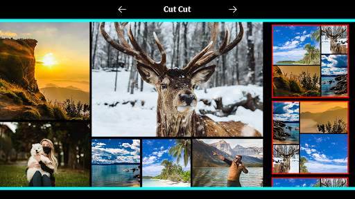 Cut Paste Photo : Photo Background Editor screenshot 1