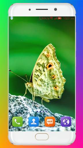 Butterfly Wallpaper HD screenshot 8