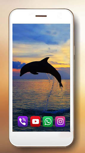 Dolphins Live Wallpaper screenshot 3