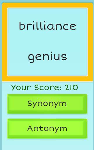 Synonym Antonym screenshot 1