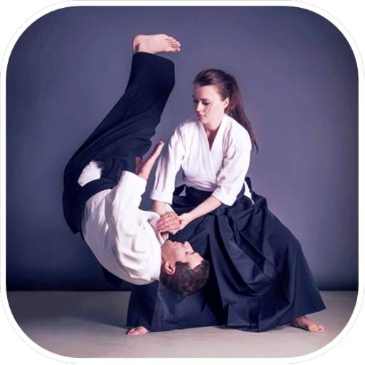 Aikido MA 17