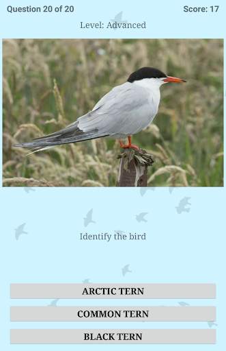 British Birds ID Quiz Pro screenshot 23