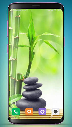 Bamboo Wallpaper HD screenshot 5