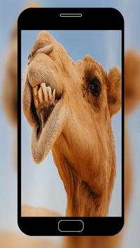 Funny Wallpapers screenshot 6
