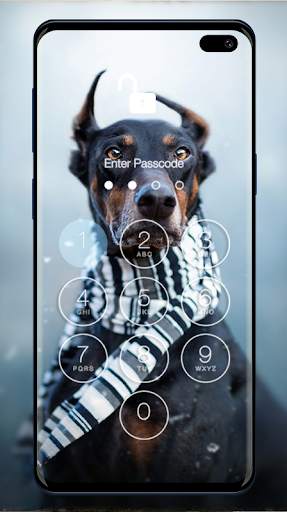 Doberman Wallpapers & Lock Screen screenshot 5