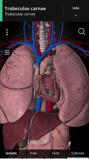 Anatomyka - 3D Anatomy Atlas screenshot 6