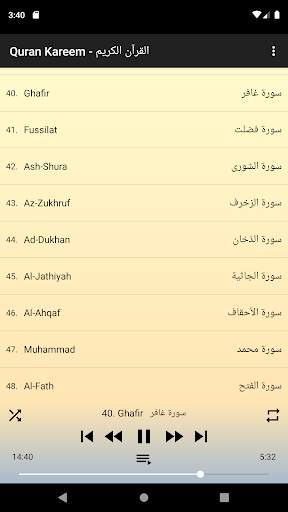 Huthaify Quran mp3 offline screenshot 1