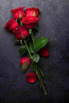 Rose Wallpaper screenshot 4