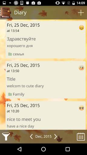 Diary Locked screenshot 1