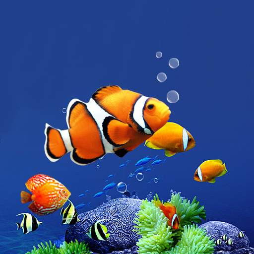 Aquarium Live Wallpaper HD 1.0.8