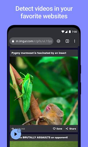 Vider Adblock - Video Browser screenshot 1