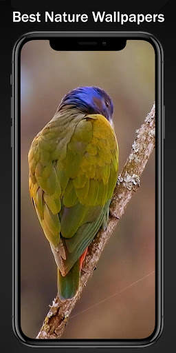 HD Live Wallpaper(Walzone HD) screenshot 5