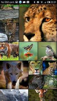 Pixall Free screenshot 2