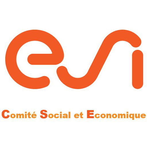 CSE ESI icon
