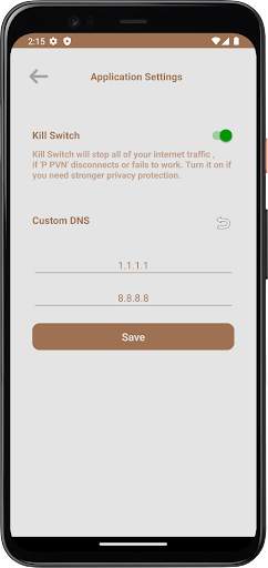P VPN screenshot 4