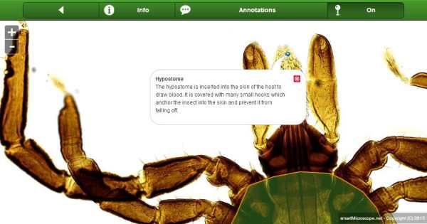 smart Microscope Lite screenshot 9