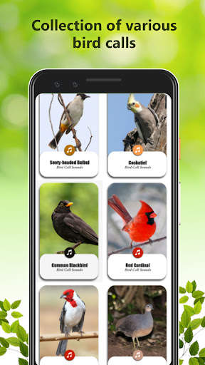 Bird Calls Sounds screenshot 2