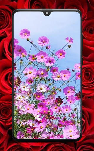 Flower Wallpaper 4K & HD screenshot 2