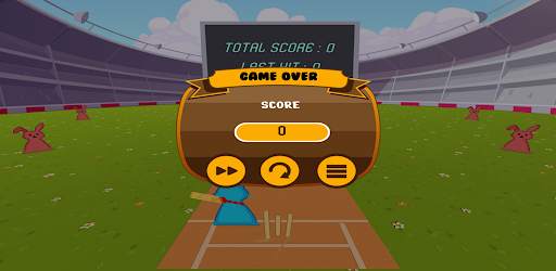 Bat Ball Cricket screenshot 3