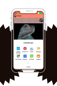 Amazing Wildlife Photo Frame screenshot 1