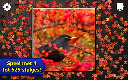 Jigsaw Puzzles Epic screenshot 10