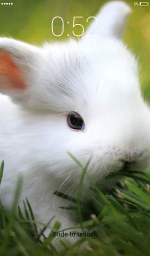 Rabbit run Lock Screen Wallpaper 5 تصوير الشاشة
