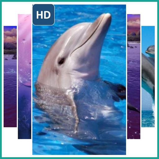 ikon Wallpaper Dolphins