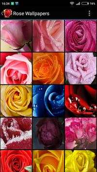 Rose Wallpapers 1 تصوير الشاشة