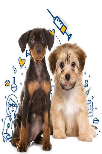 Dog Vaccinations screenshot 2