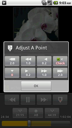 AB Repeat Player screenshot 8
