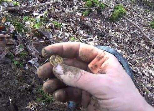 Metal Detector & Gold screenshot 3