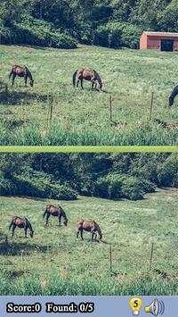 Difference Between Two Images Game screenshot 3
