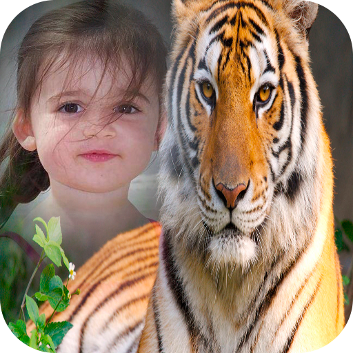 Tiger Photo Frame icon