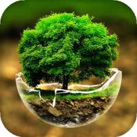 Macro Photos Live Wallpaper - backgrounds hd logo