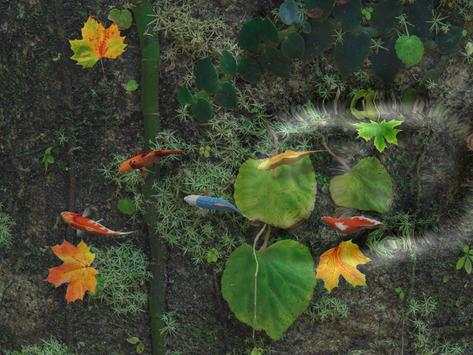 Water Koi Fish Pond LWP screenshot 4
