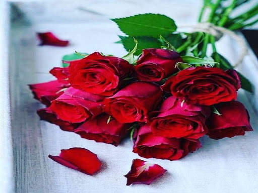 3D Red Rose Images 2020 2 تصوير الشاشة