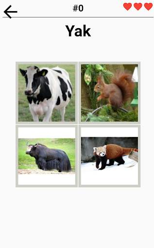 Animal Quiz-World of Mammals Reptiles Birds more. screenshot 3