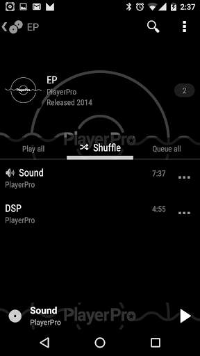 Skin for PlayerPro KK screenshot 7