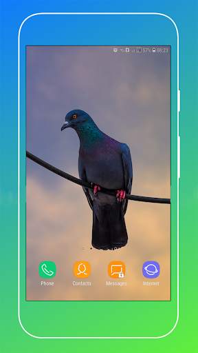 Pigeon Wallpaper screenshot 5