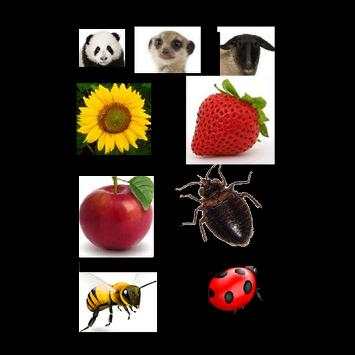 Scientific names screenshot 9