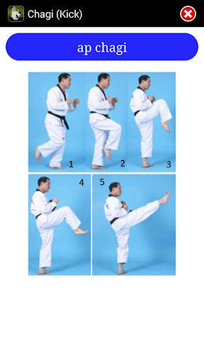 Taekwondo ITF screenshot 8