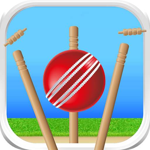 Cricket - Defend the Wicket 1.1