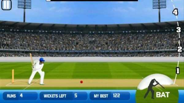 Cricket 2 mb Games screenshot 1