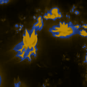 Color Changing Water Lily LWP icon