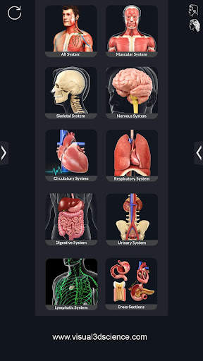 Human Anatomy screenshot 1