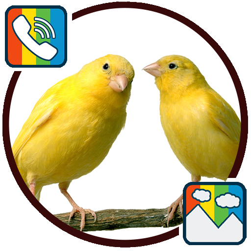 Canary - RINGTONES and WALLPAPERS icon